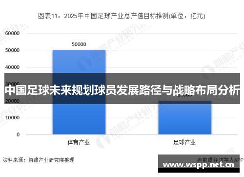 中国足球未来规划球员发展路径与战略布局分析